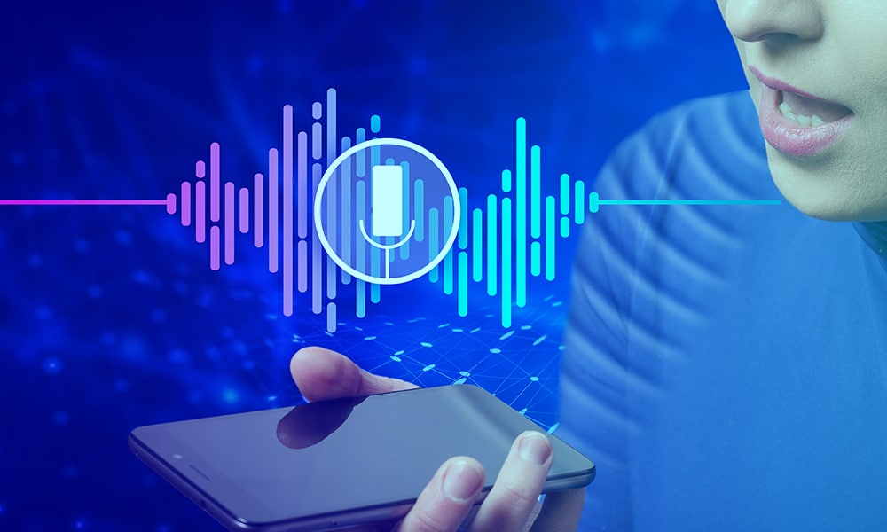 voice biometrics